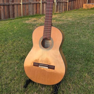 Daniel Garcia Classic Guitar All Solid Palo Escrito with Cedar Top 2025 - Laquer image 3