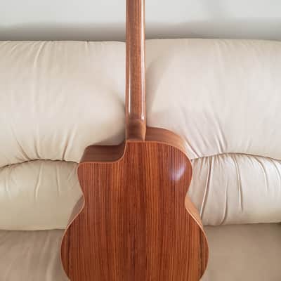 Moustache Thijs Van der Harst   Guitar image 3