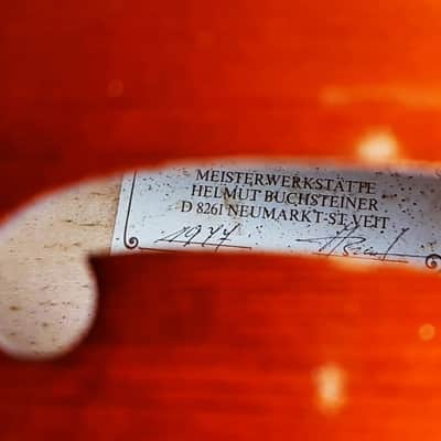 Viola da Gamba Helmut Buchsteiner 6 saitig 1977 - Varnish image 12