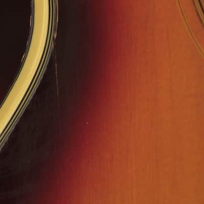 original 1965 Guild F-50 Navarre flattop Sunburst image 10