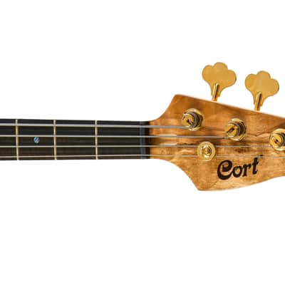 Cort RITHIMICNAT Jeff Berlin Signature Series Alder Body Rithimic 4-String Electric Bass Guitar image 9