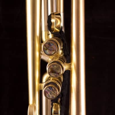 Show Demo Adams A8 Ergonomic Trumpet in Satin Lacquer image 15