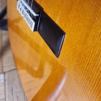 Yamaha GC12C Solid Cedar/Mahogany Classical Guitar image 5