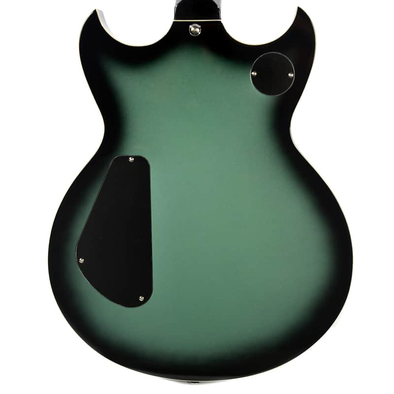 Reverend Kyle Shutt Signature image 4