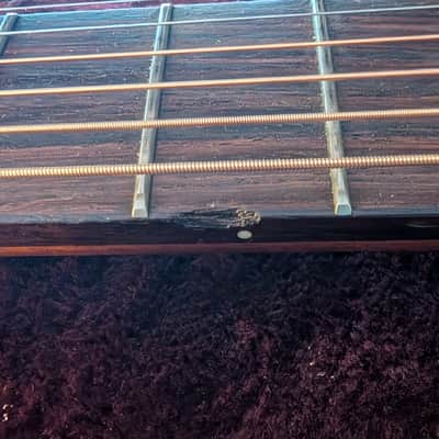 Baden Type A Acoustic Electric with LR Baggs Anthem pickups 2010-2012 image 4