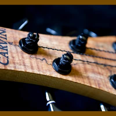 Carvin Icon 2011 Spalted Maple Best Offer image 6