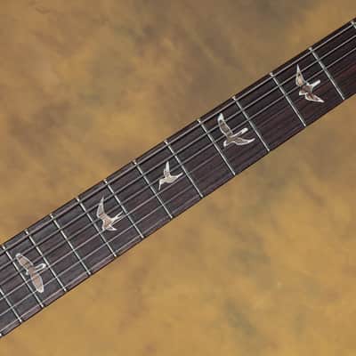 2012 PRS DGT Custom Color Blue Green Fade 10 Top Birds image 8