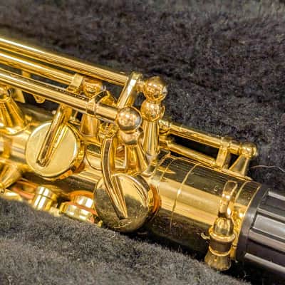 Alpine Woodwinds AAS143 2010's Alto Saxophone with Case - Gold image 5