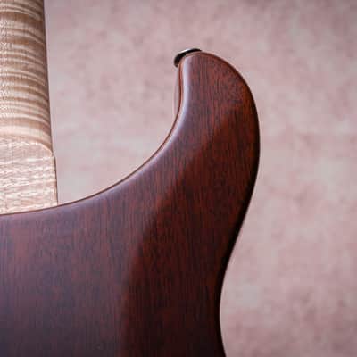 PRS USA Paul Reed Smith Wood Library Special 22 Semi Hollow 10-Top "Copperhead Burst" (2024) image 19