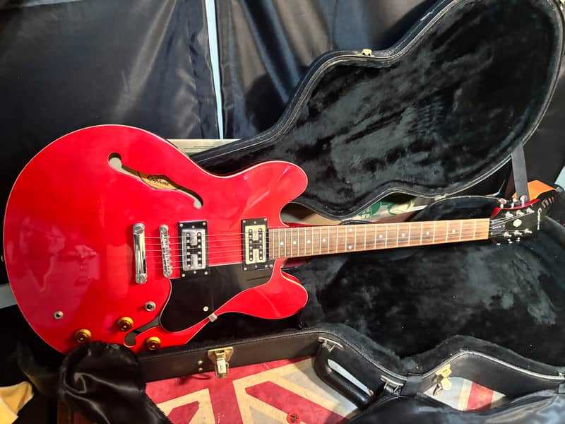 Epiphone Dot Deluxe with Rosewood Fretboard Red Electric Guitar Upgraded Pickups plus Case image 1