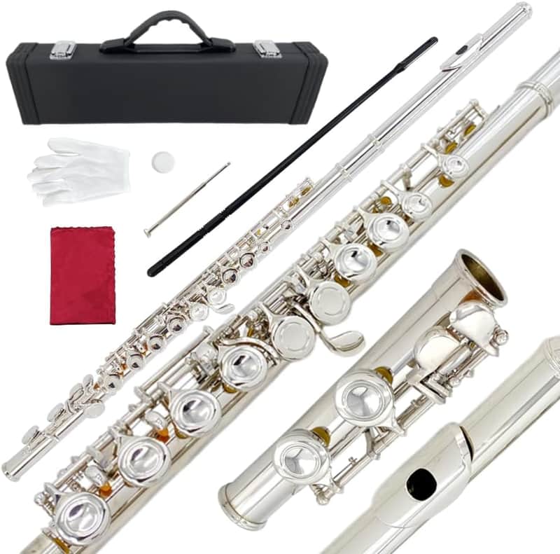 16 Key Closed Hole C Flute - Student Flute for Beginners,Easy to Play with Durable Design, Includes Carrying Case, Cleaning Kit, Gloves, Perfect for Learning(Silver) image 1