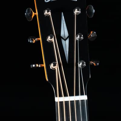 Eastman E16SS-TC-LTD, Thermo-Cured Bearclaw Adirondack, Birdseye Maple, Limited image 13