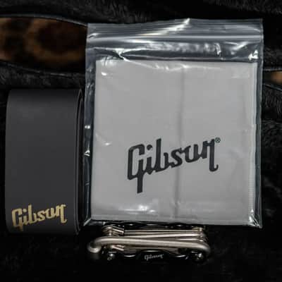 Gibson ES-339 Semi-Hollow Electric Guitar - Transparent Ebony with Hardshell Case image 14