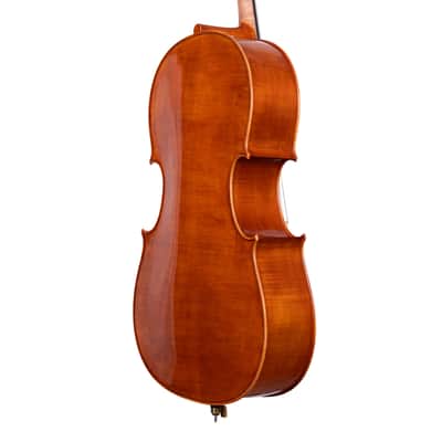 Testore Cello 4/4 from One Piece Back – Hand-Made in Romania 2025 #100 image 8