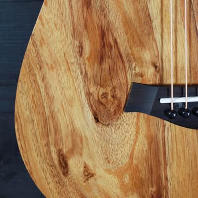 Taylor BT-E Koa Baby Taylor w/ ES-B Electronics Acoustic Guitar image 22