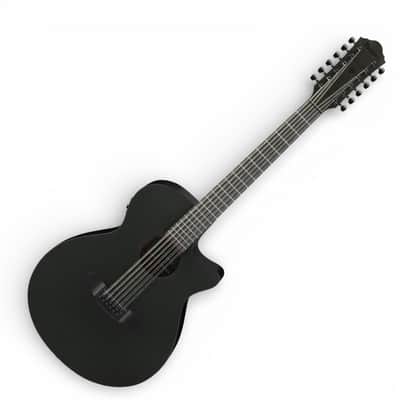 Ibanez AEG1221BOT AEG Series 12-String Acoustic-Electric Guitar, Black Out image 1
