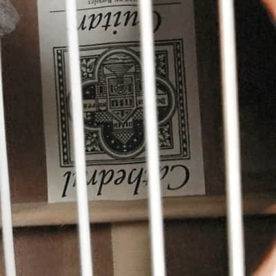 Cathedral 10 string clasical guitar 2013 with midi pickup image 11