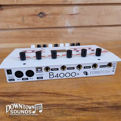 Ferrofish B4000+ Organ Expander Module image 6