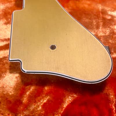 Fender Coronado 1966 - Pickguard image 6