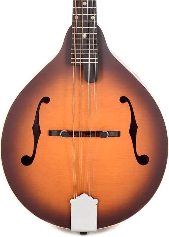 Recording King RAM-3-TS Dirty 30's A-Style Mandolin