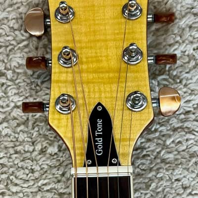 Gold Tone Mojo Round-neck Resonator Guitar with Pickup and Case image 7