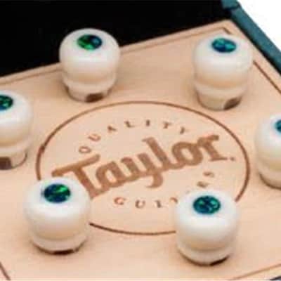 Taylor Water Buffalo Horn Bone Bridge Pin Kit-Bone White w/Green Opal
