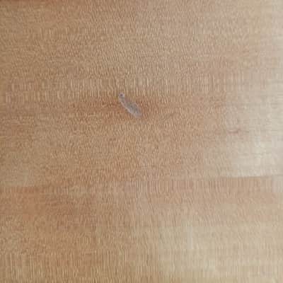 Garrison G10 2000s - Natural image 7
