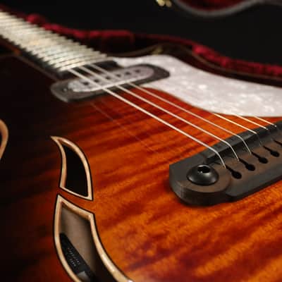 Taylor PROTOTYPE Crosstone Electric Ash/Maple Custom Electric - Tobacco Sunburst ULTRA RARE COLLECTIBLE 193 image 12