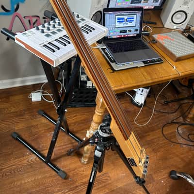 KYDD Electric Upright Bass image 1