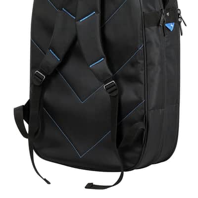 Reunion Blues RBX2E Double Electric Guitar Bag image 2