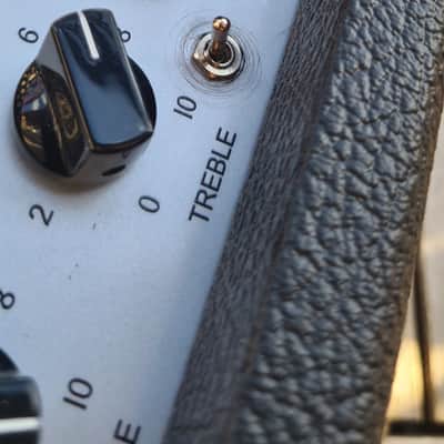 Friedman Mini Dirty Shirley 20-Watt // Jose Arredondo mods! image 13
