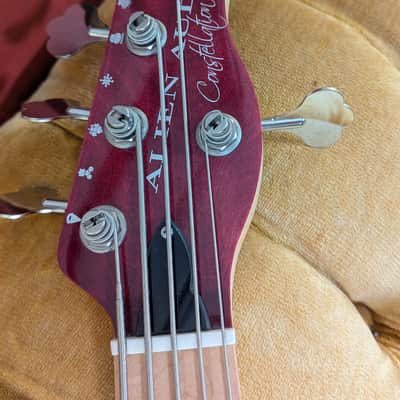 Alien Audio Constellation 5 String Bass image 4