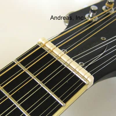 F-Style 12-String Mando-Guitar w/ Hardshell Case image 8