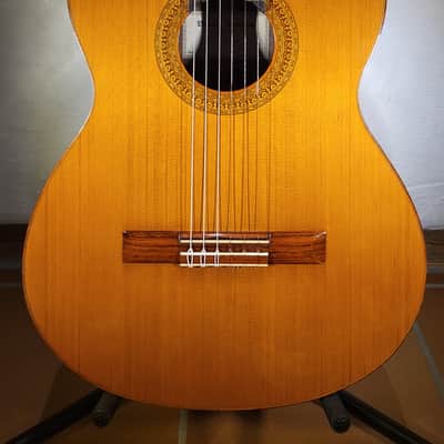 Vicente Sanchis (Luthier) 38 image 3