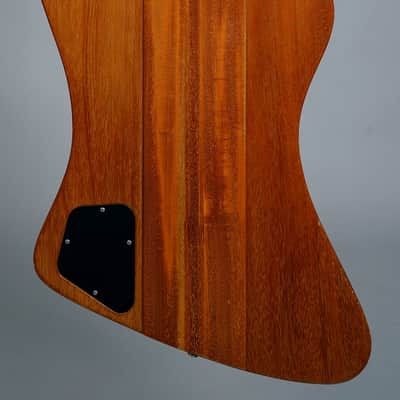 Gibson Thunderbird Bicentennial 1976 - Natural image 5