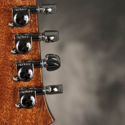 Gibson USA Limited Run non-reverse Firebird 2015 Vintage Sunburst image 20