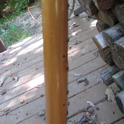 Unbranded 5 string Electric  Banjo    Banjocaster image 8