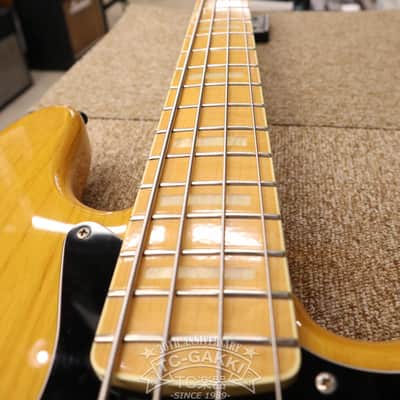 Fujigen(FGN) 2009 NCJB-10 image 12