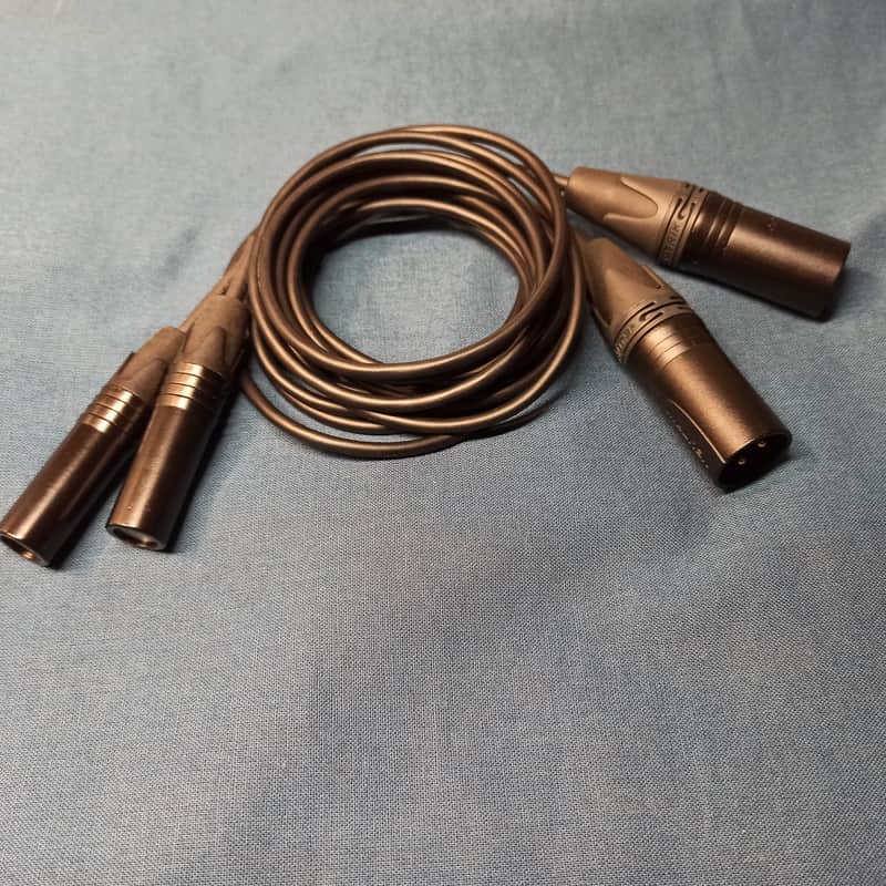 Immersive soundscapes - Earsight stereo microphone - XLR 48V version image 1