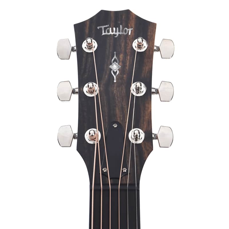 Taylor 317 with V-Class Bracing image 6