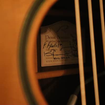 Kevin Ryan Nightingale - Pierre Bensusan image 2