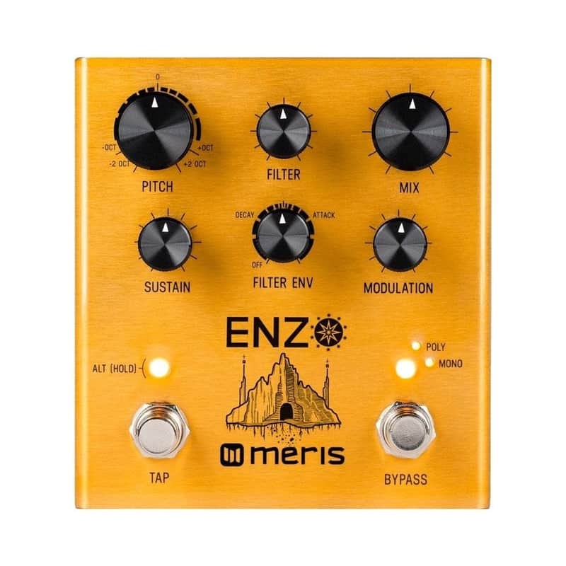 Meris Enzo Multi-Voice Synth Pedal image 1