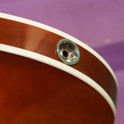 2022 Harmony (Heritage) Comet Semihollow Electric Guitar (VIDEO! Fresh Work, Ready) image 19