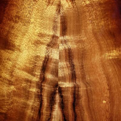 Taylor 224ce-K DLX LEFT-HANDED Koa Deluxe Acoustic-Electric Guitar image 9