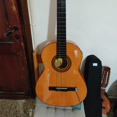 Chitarra Flamenca Alvaro N 60 image 1