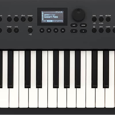 Roland GO:KEYS 5 Music Creation Keyboard - Graphite image 1