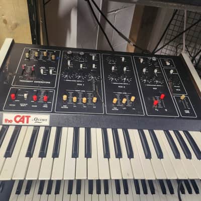 the CAT by Octave 70s Analog Synthesizer - Serviced & Working - Available for Demo image 2