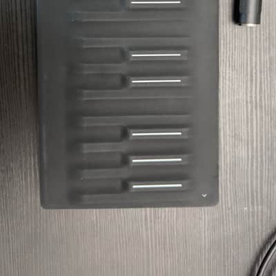 ROLI SEABOARD M / BLOCK 2023 image 2