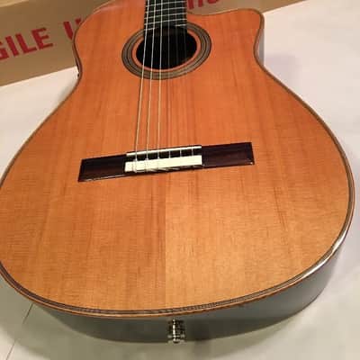 Cordoba Fusion 12 Orchestra  Natural Acoustic Electric Classical Hybrid Guitar image 3