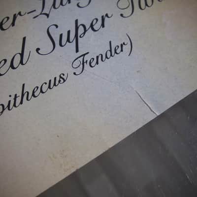 Fender Super Twin & Telecaster Authentic Vintage Poster "The Leather-Lunged Multi-Voiced Super Twin" Artist Endicott Circa-1976-Multi Color image 16